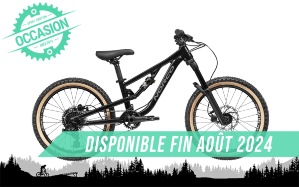 vtt fluid 2.2 20" 2023 (2 saisons)